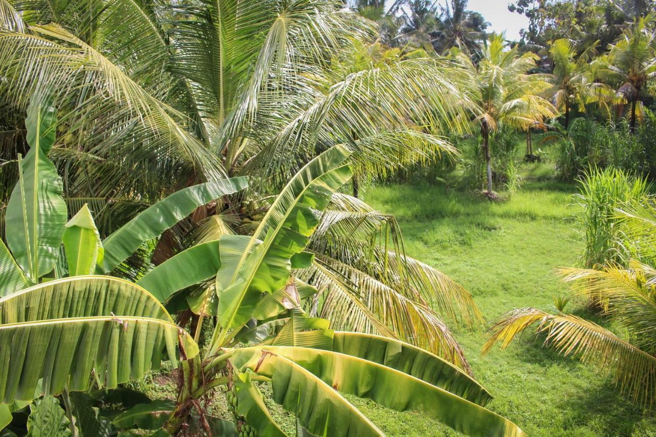Balian Surf Villas Selemadeg  Buitenkant foto