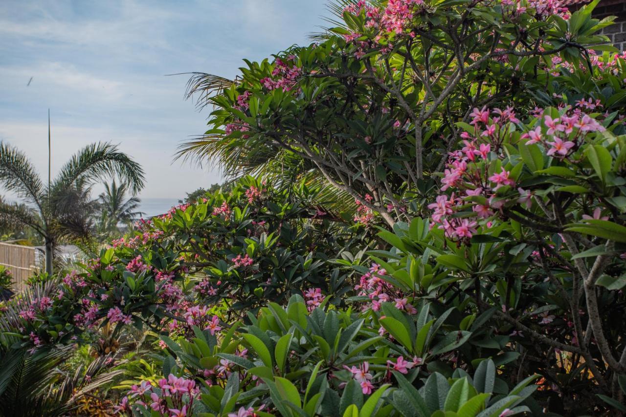 Balian Surf Villas Selemadeg  Buitenkant foto
